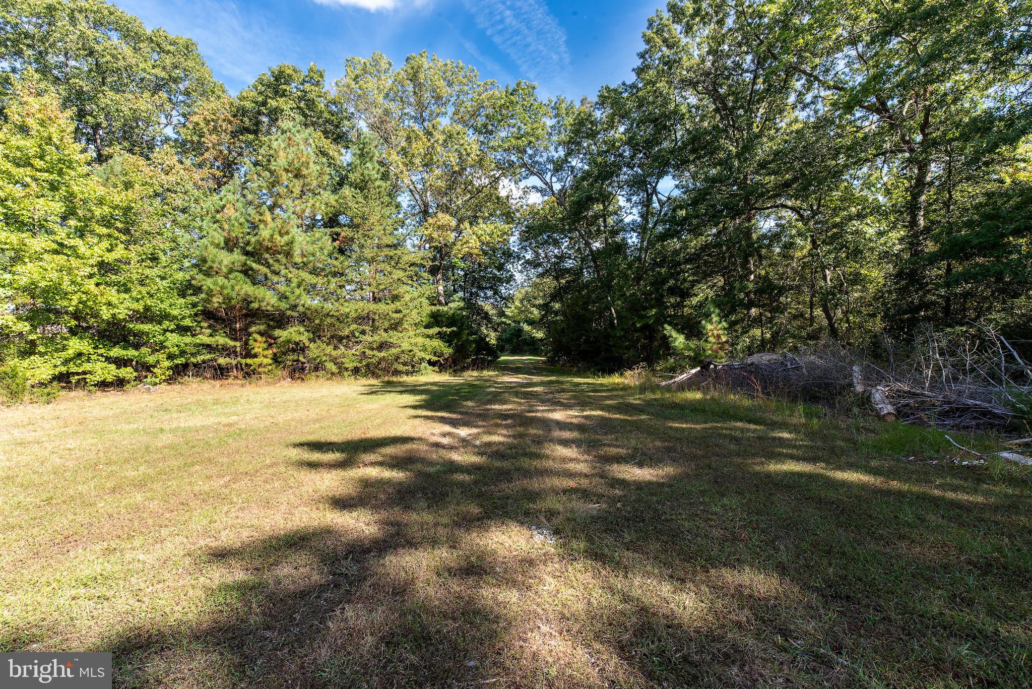 337 Harding Highway Pittsgrove, NJ 08318 - Photo 34 of 68