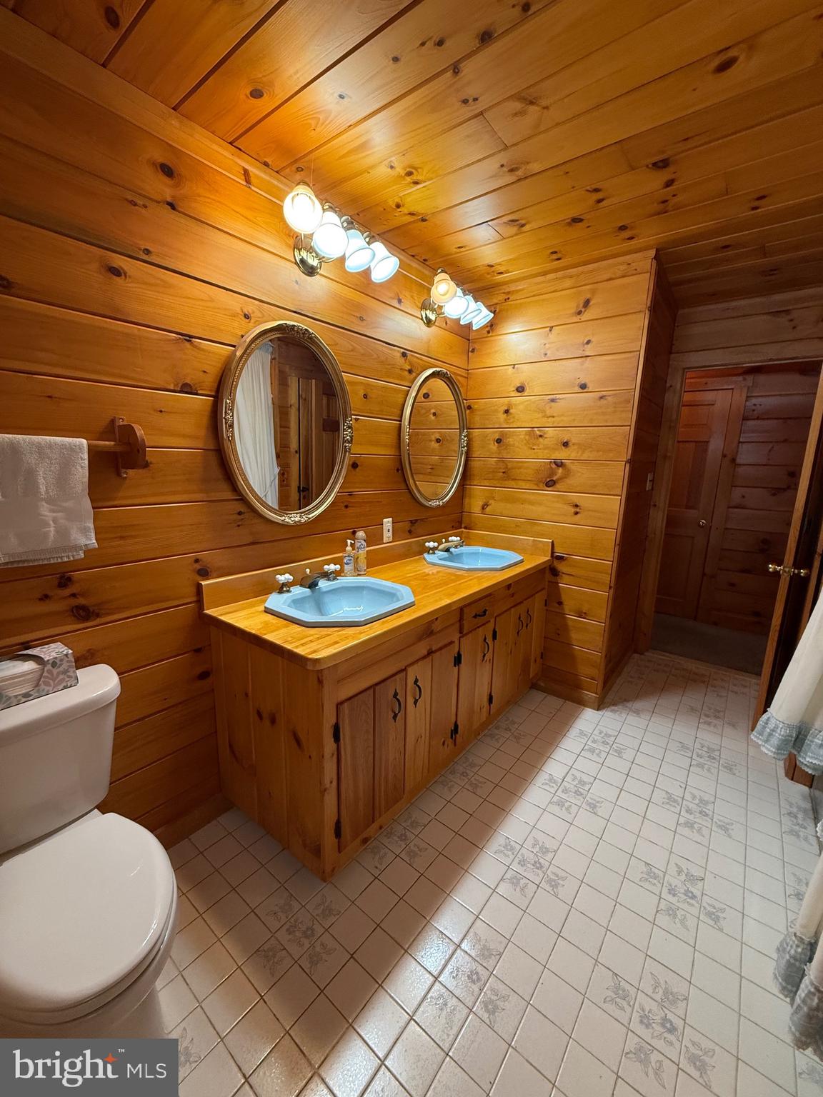 337 Harding Highway Pittsgrove, NJ 08318 - Photo 50 of 68 a bathroom with a toilet a sink and a mirror
