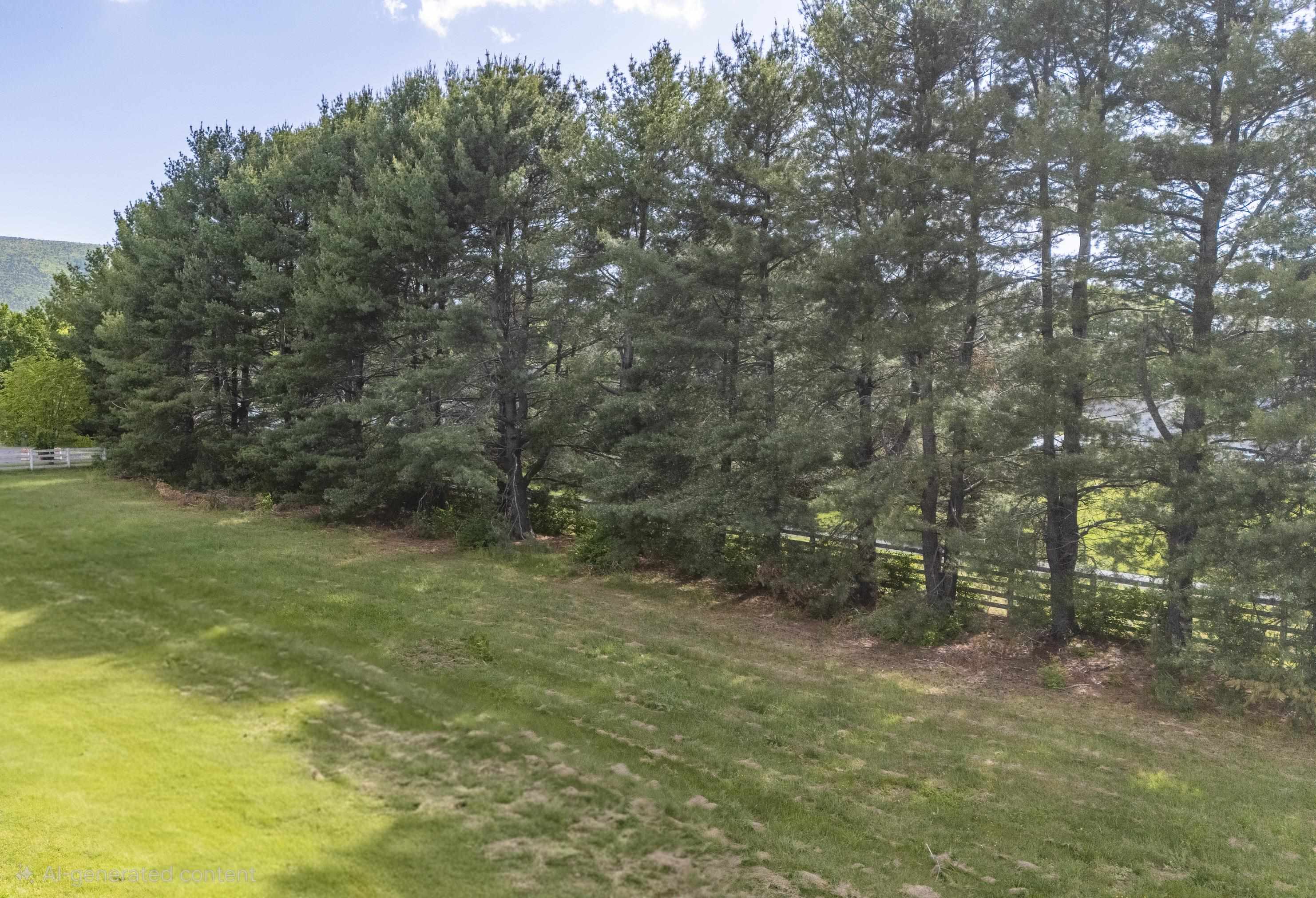 Tbd Cold Springs Road Stuarts Draft, VA 24477 - Photo 4 of 5 Gallery Image 4
