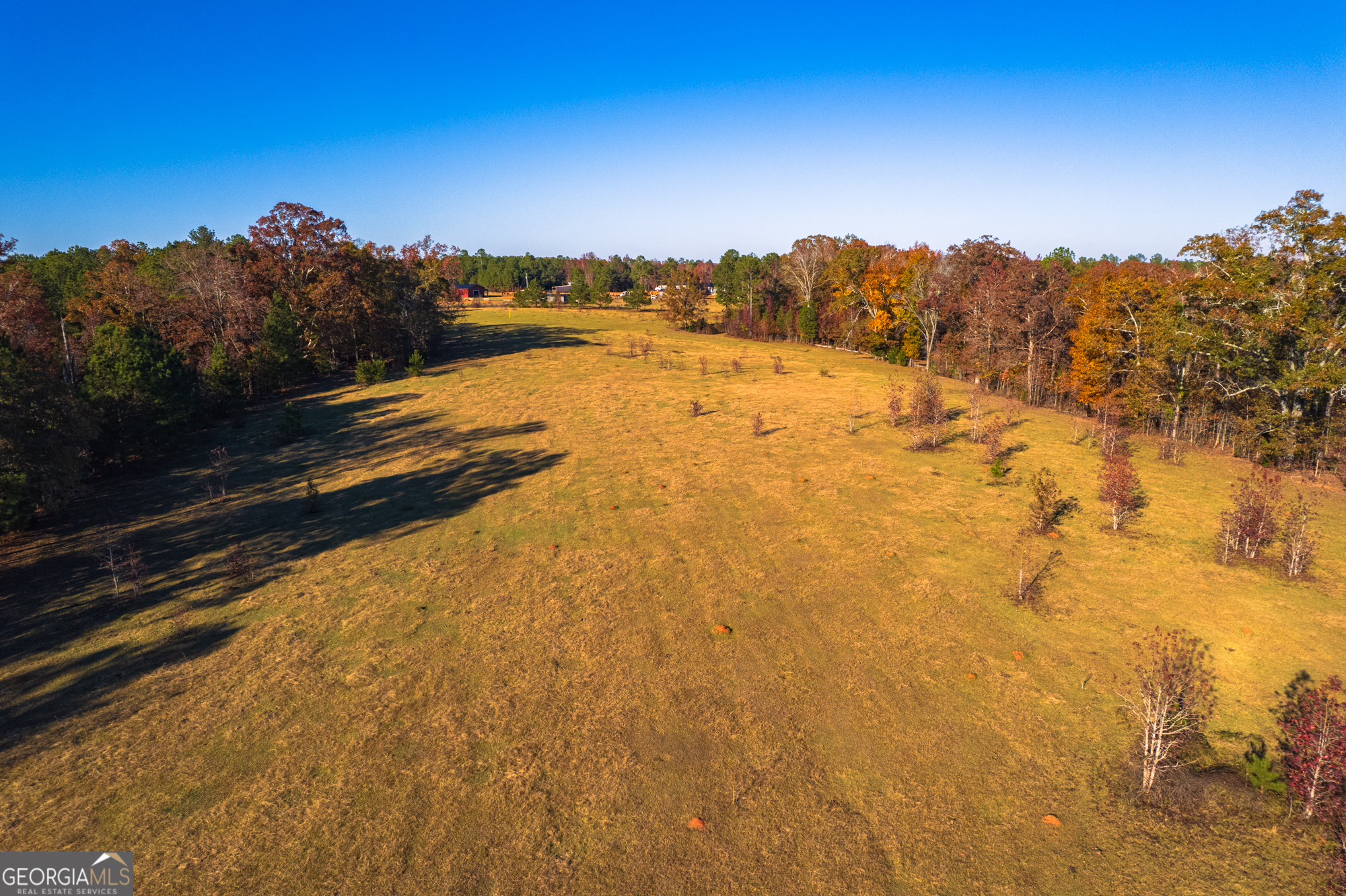 0 Pine Grove Church Road, Unit LOT 2 Culloden, GA 31016 - Photo 3 of 8