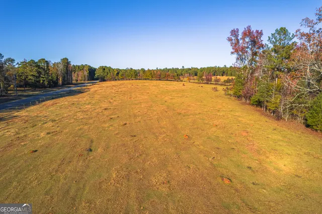 $126,750 | 0 Pine Grove Church Road, Unit LOT 2, Culloden, GA 31016