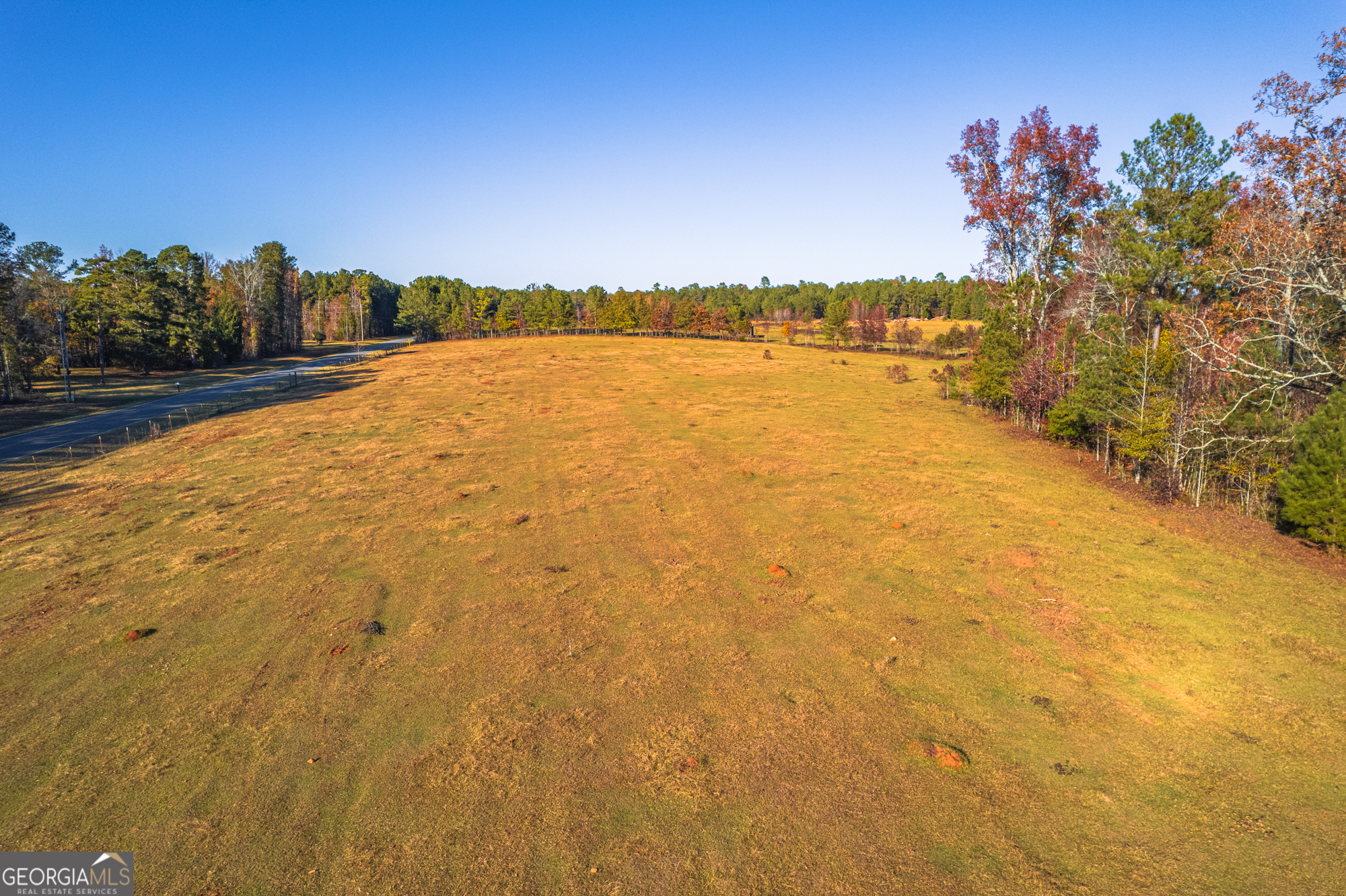 0 Pine Grove Church Road, Unit LOT 2 Culloden, GA 31016 - Photo 4 of 8