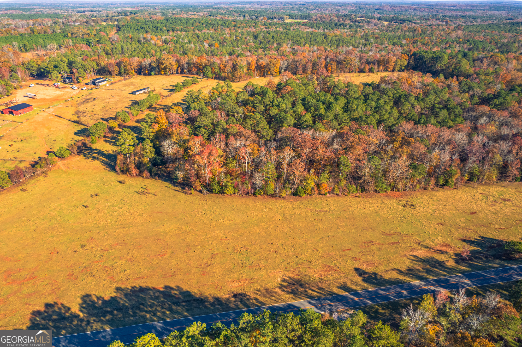 0 Pine Grove Church Road, Unit LOT 2 Culloden, GA 31016 - Photo 5 of 8
