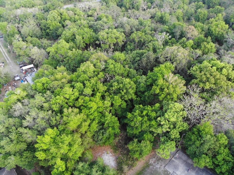 2156 Old Hickory Tree Road St. Cloud, FL 34772 - Photo 2 of 2