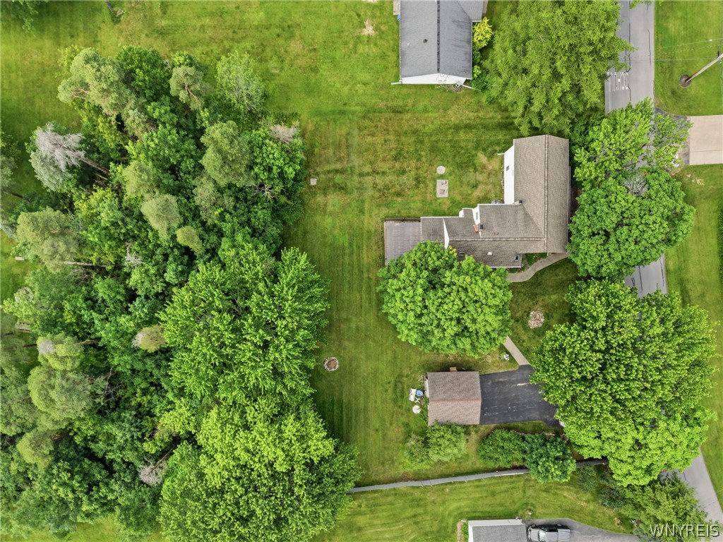 5224 Old Goodrich Road Clarence, NY 14031 - Photo 26 of 29