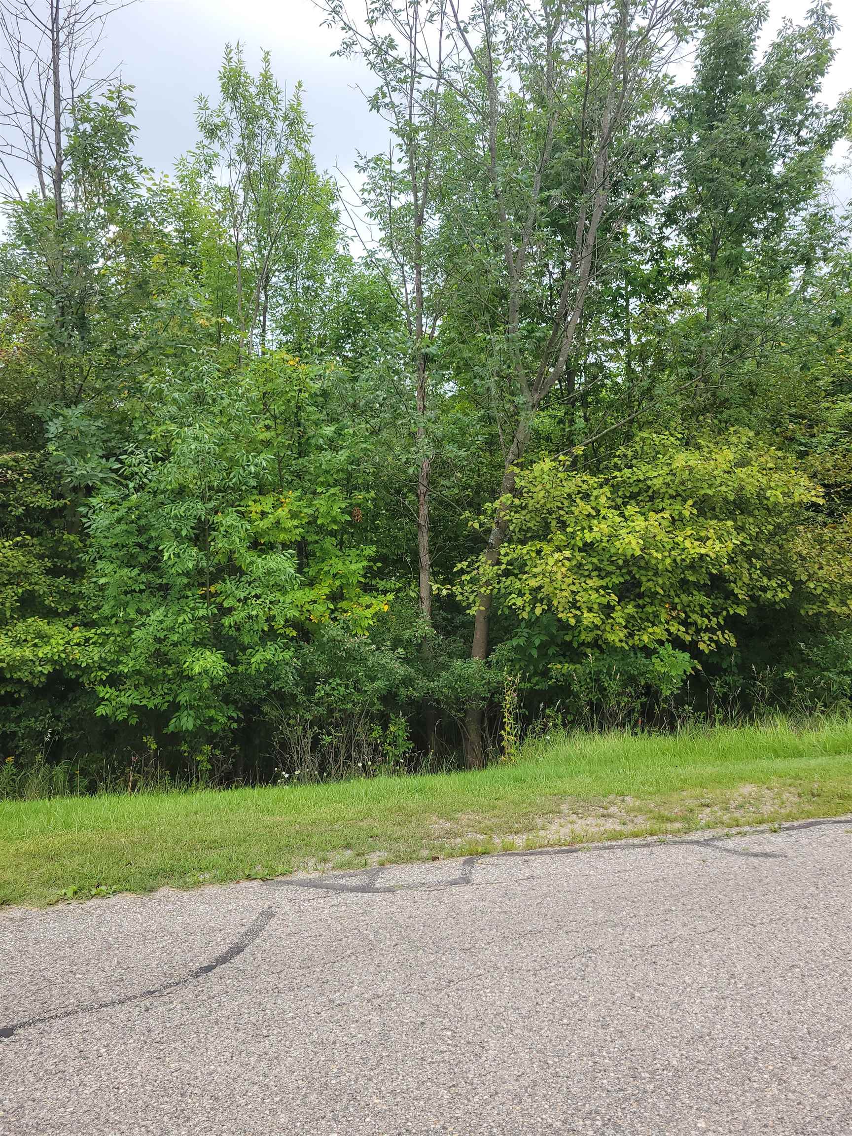 60-61 Huntington Circle Road Gladwin, MI 48624 - Photo 5 of 8