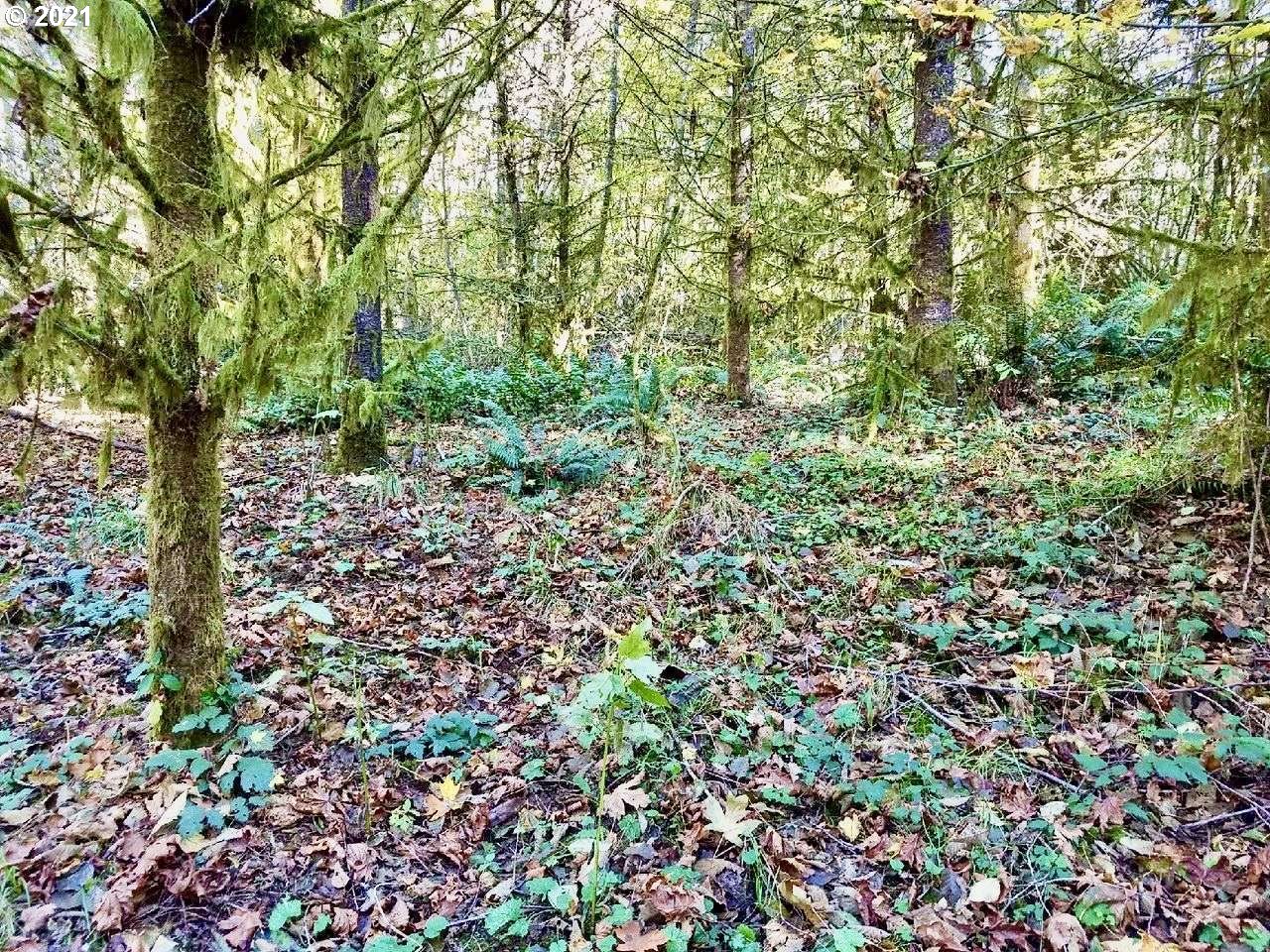 0 Dart Creek Road St. Helens, OR 97051 - Photo 12 of 12 Gallery Image 12