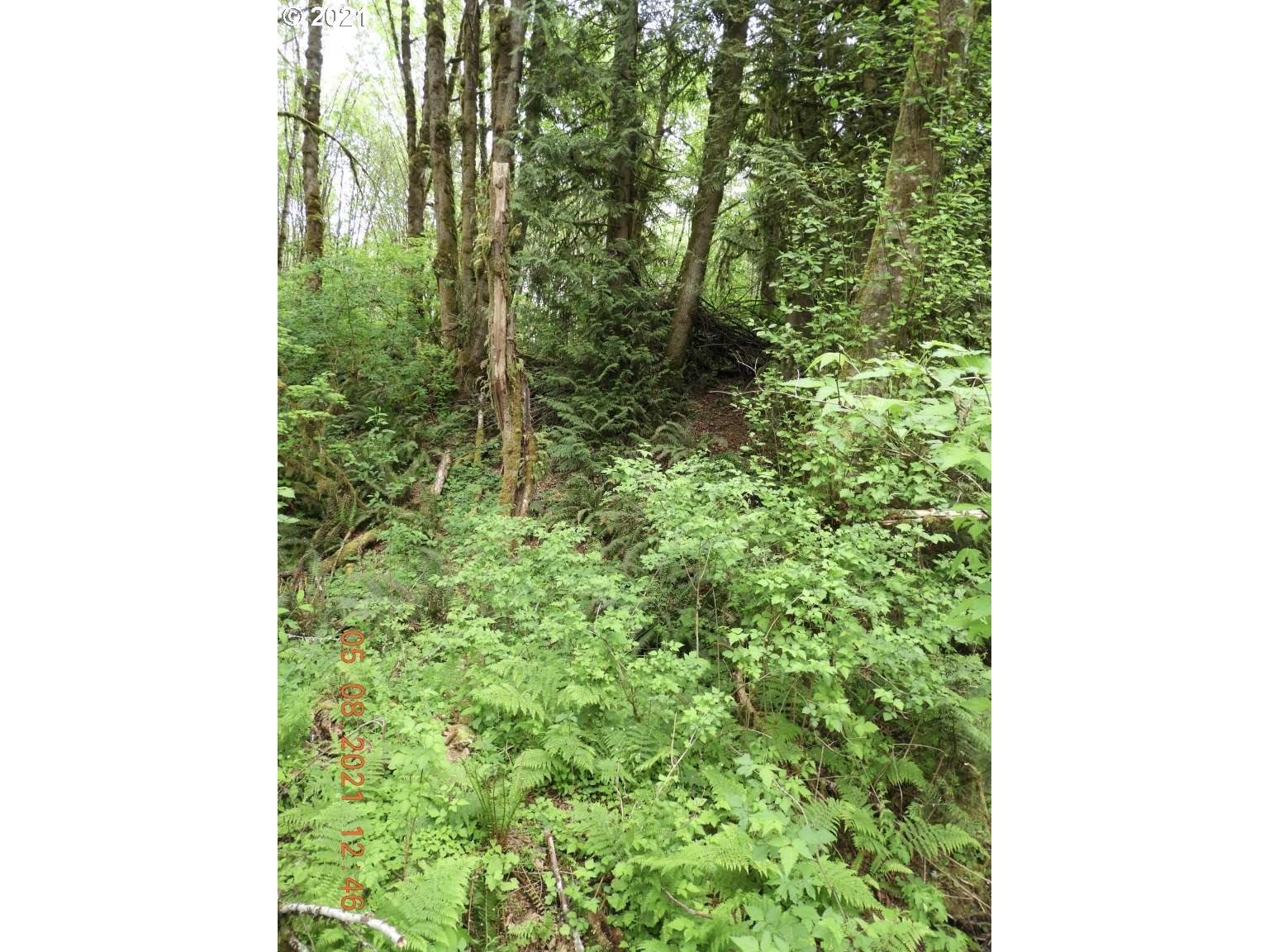 0 Dart Creek Road St. Helens, OR 97051 - Photo 4 of 12 Gallery Image 4
