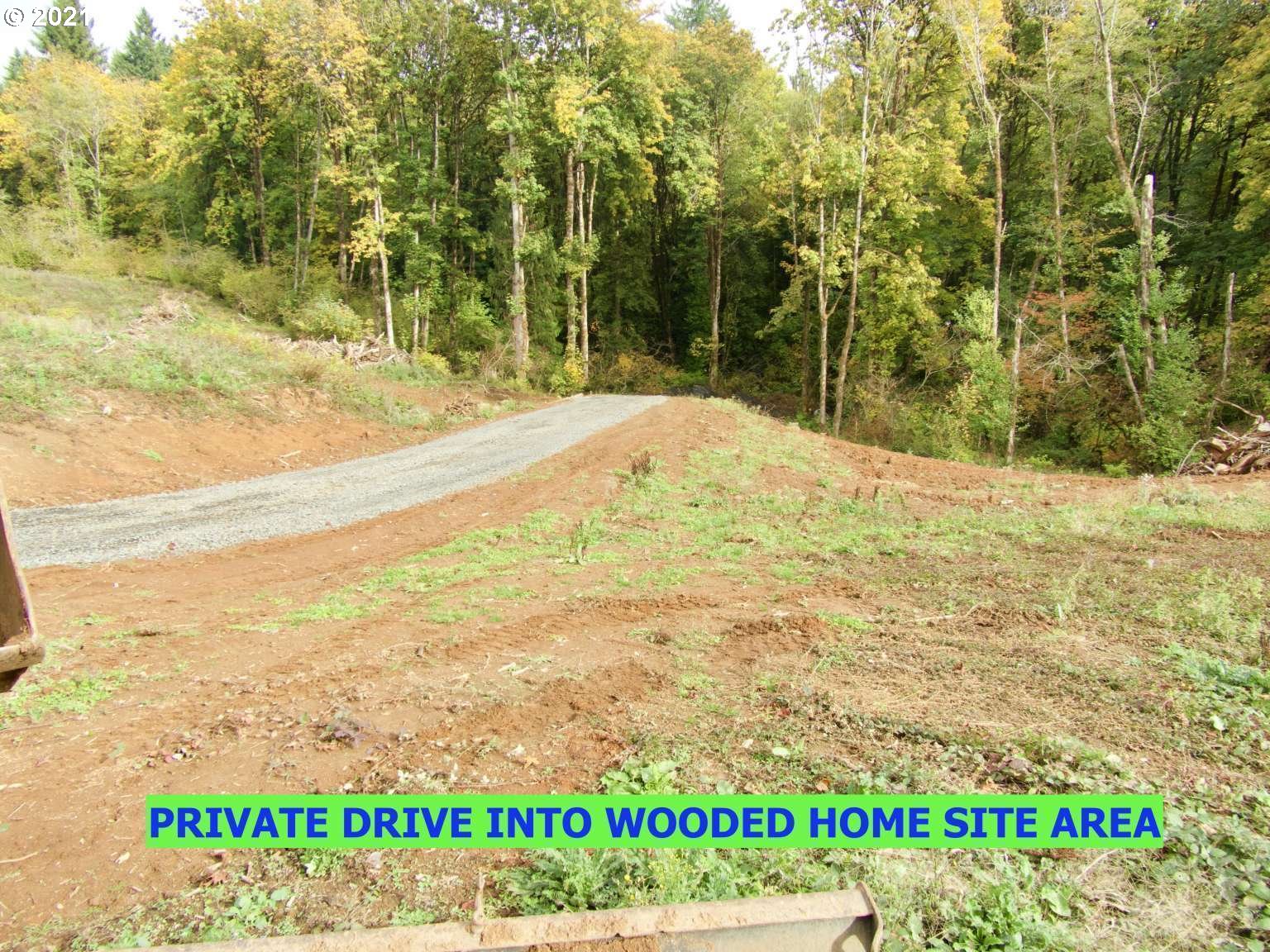 0 Dart Creek Road St. Helens, OR 97051 - Photo 5 of 12 Gallery Image 5