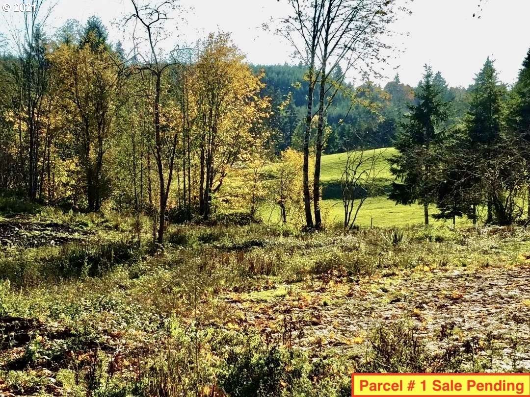 0 Dart Creek Road St. Helens, OR 97051 - Photo 6 of 12 Gallery Image 6