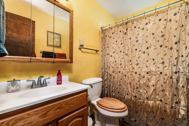 a bathroom with a sink and a toilet