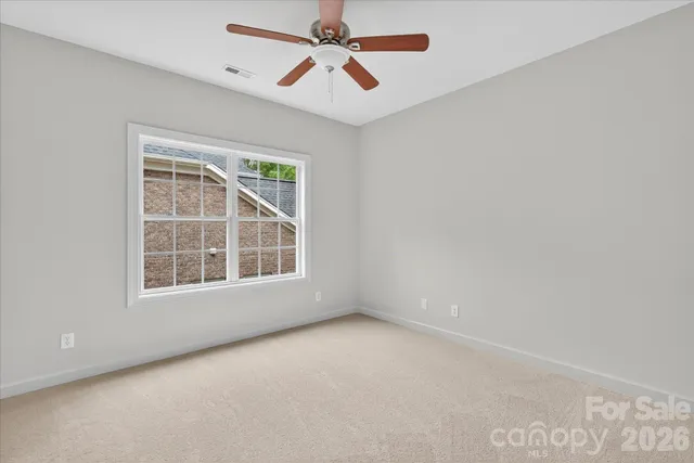 a view of a yard with a tree