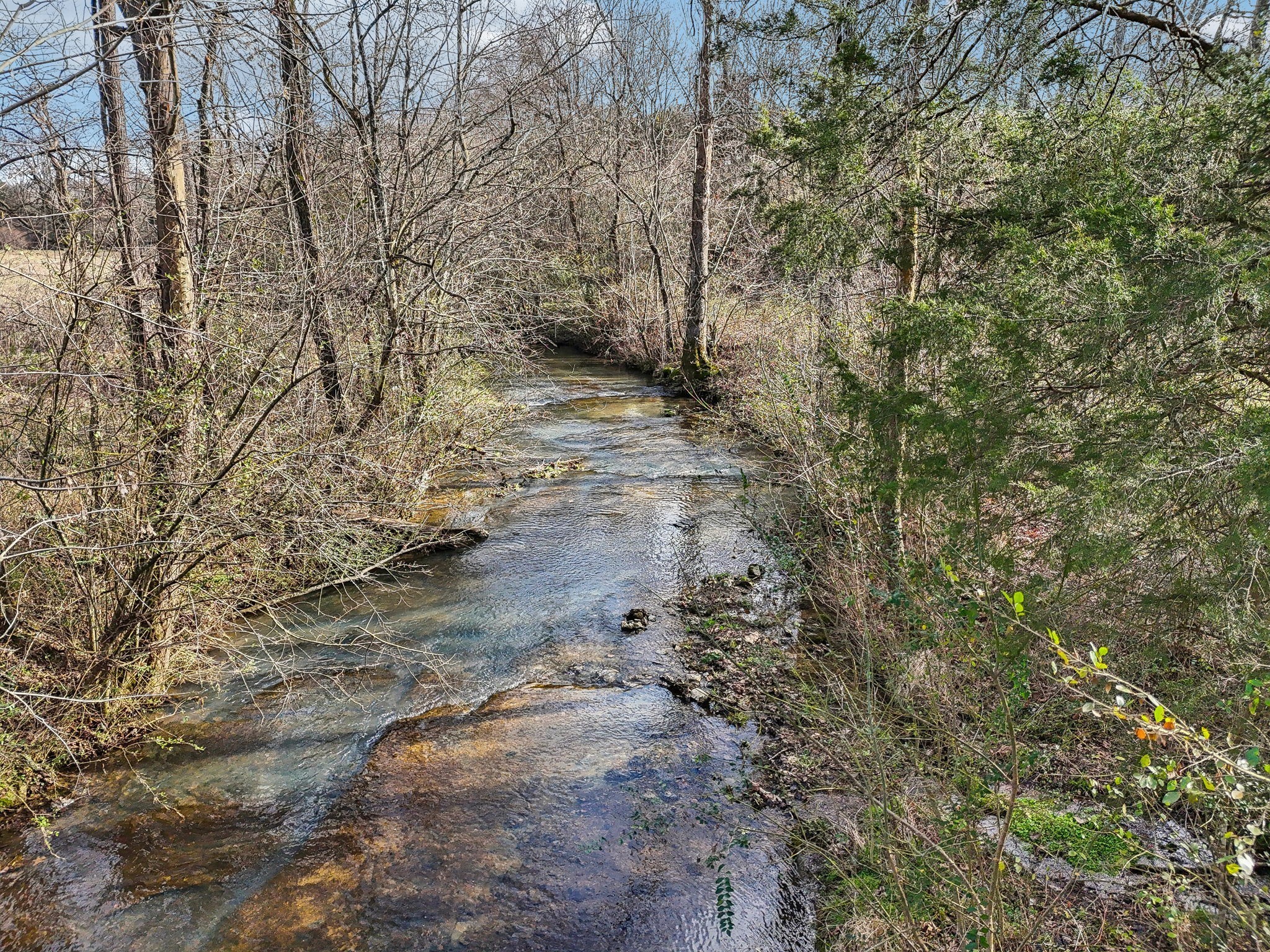 750 Walker Road Beechgrove, TN 37018 - Photo 49 of 54 a view of a yard with a tree