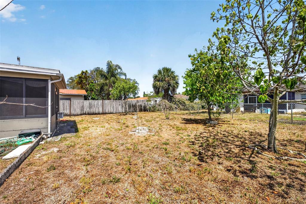 8327 Moulton Drive Port Richey, FL 34668 - Photo 6 of 8