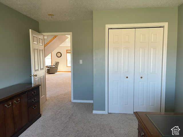 750 South Big Road Soda Springs, ID 83276 - Photo 18 of 40 Carpeted room featuring a bifold closet with paneled doors and light green walls