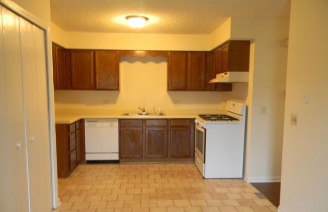 993 Kane Street, Unit 993 South Elgin, IL 60177 - Photo 5 of 15 a kitchen with stainless steel appliances granite countertop a sink and cabinets