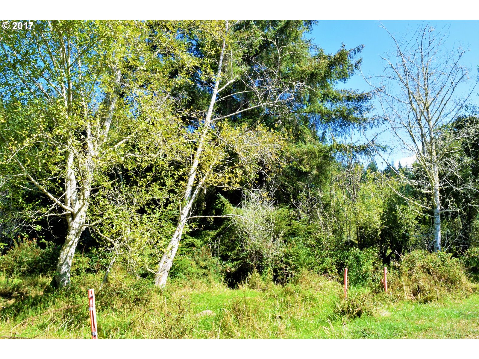 0 Tiara Street, Unit 620 Lakeside, OR 97449 - Photo 8 of 15 Gallery Image 8