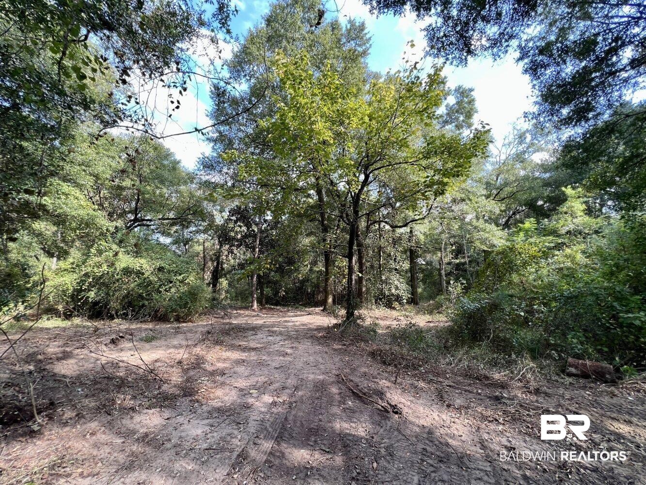 0 Bear Fork Road Mobile, AL 36618 - Photo 3 of 50