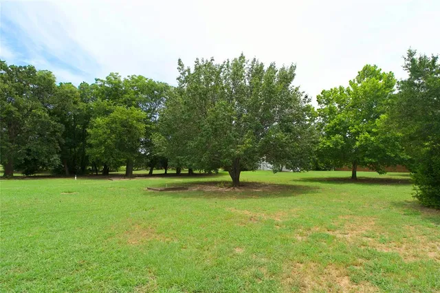a view of field with trees in the background