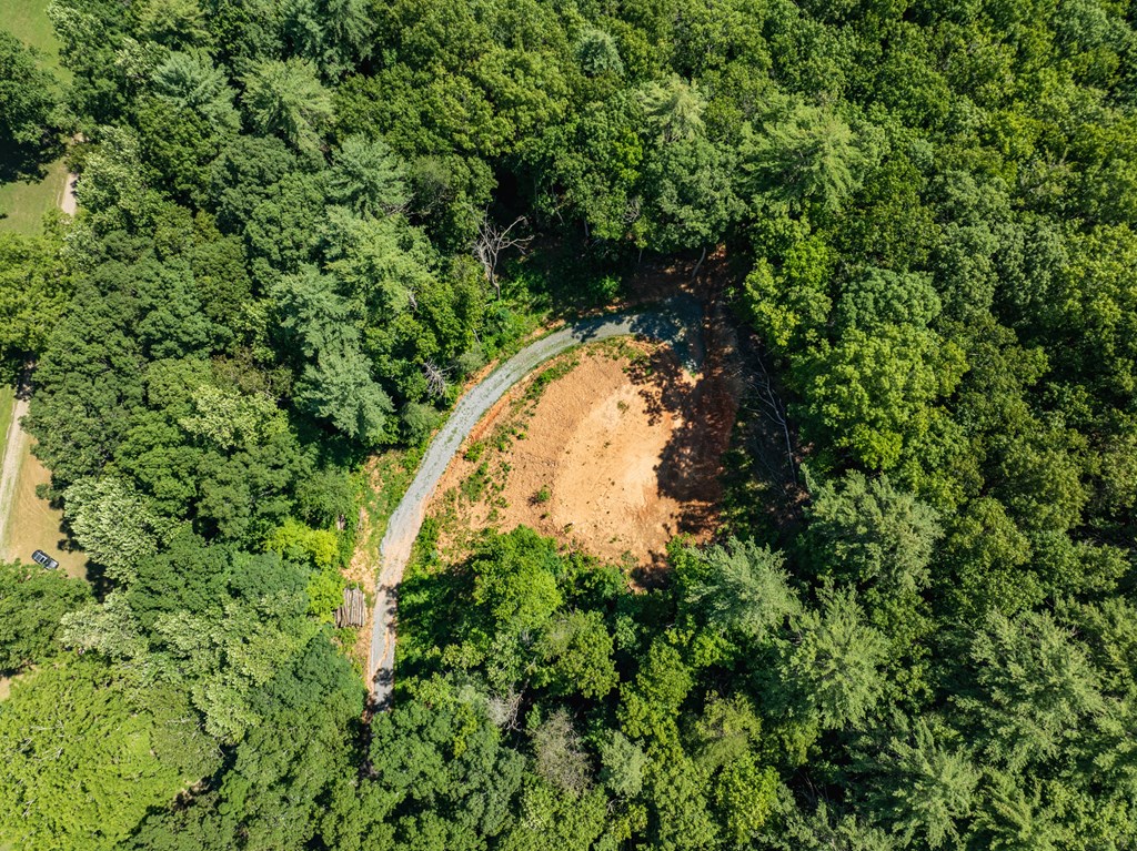 2039 Crowe Road Murphy, NC 28906 - Photo 16 of 36 Gallery Image 16
