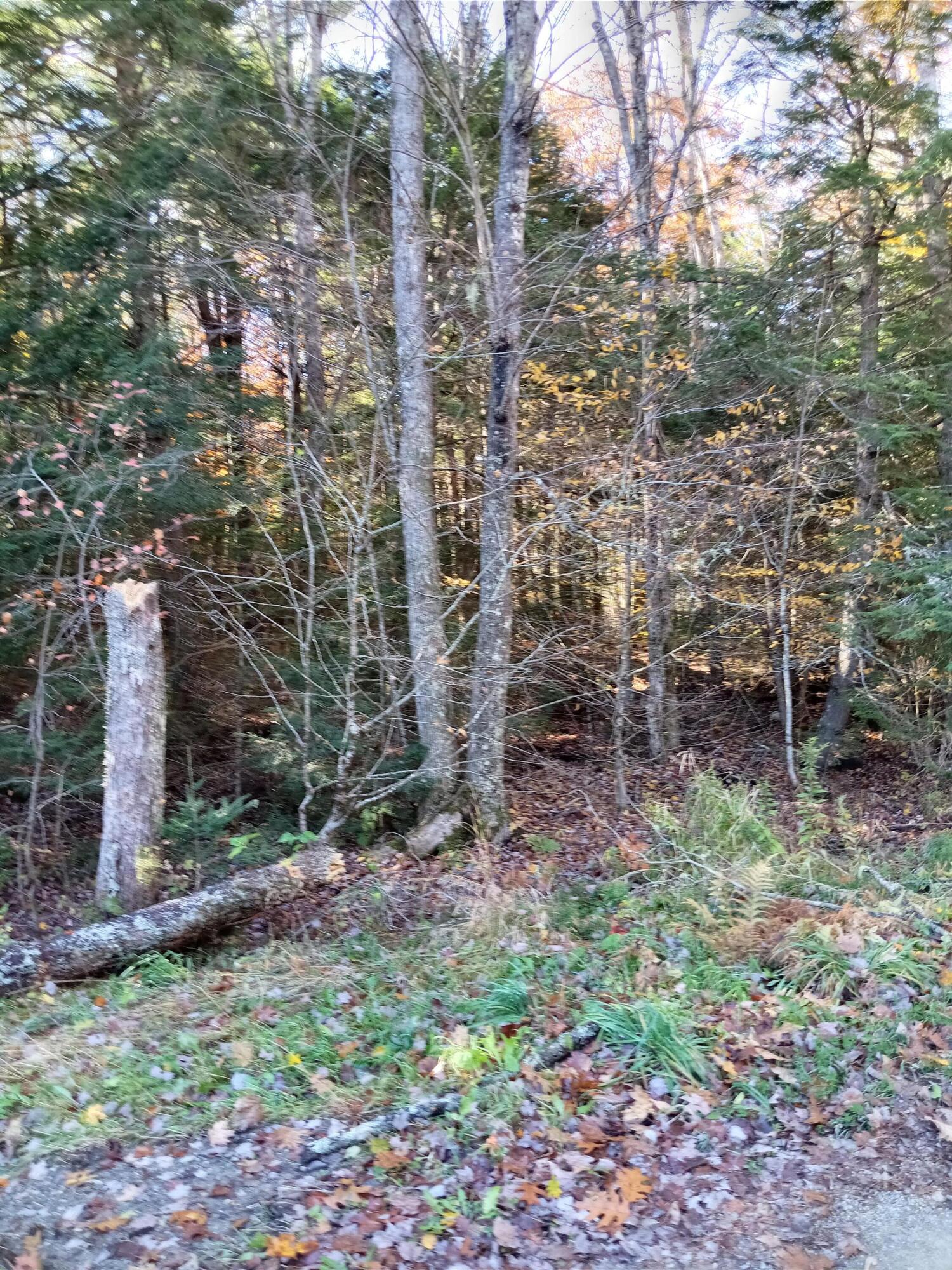 Lot #38 Hilton Road Whitefield, ME 04353 - Photo 4 of 6 Palmer, Hilton Rd pic5