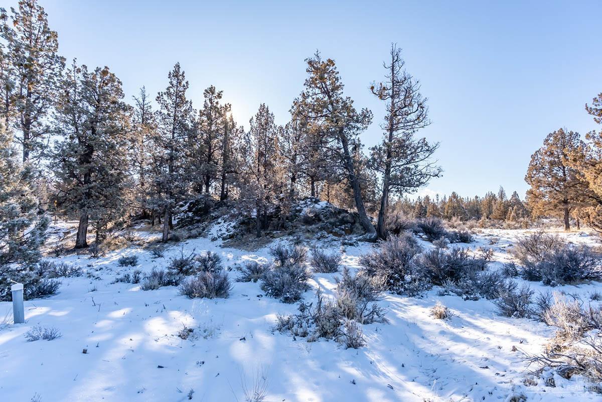 20105 Pacific Heights Rd Bend Bend, OR 97703 - Photo 10 of 13 Gallery Image 10