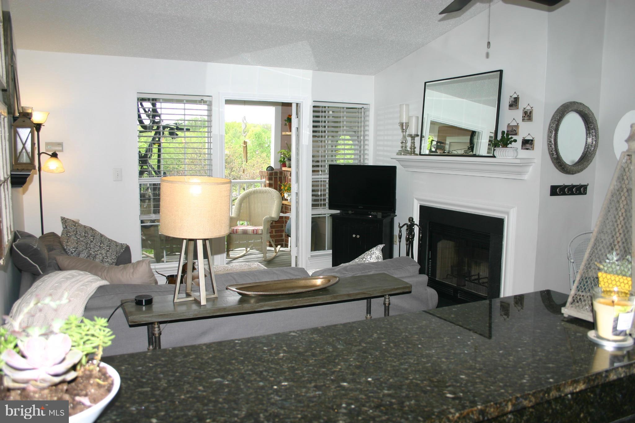 21009 Timber Ridge Terrace, Unit 302 Ashburn, VA 20147 - Photo 5 of 20 Family Room