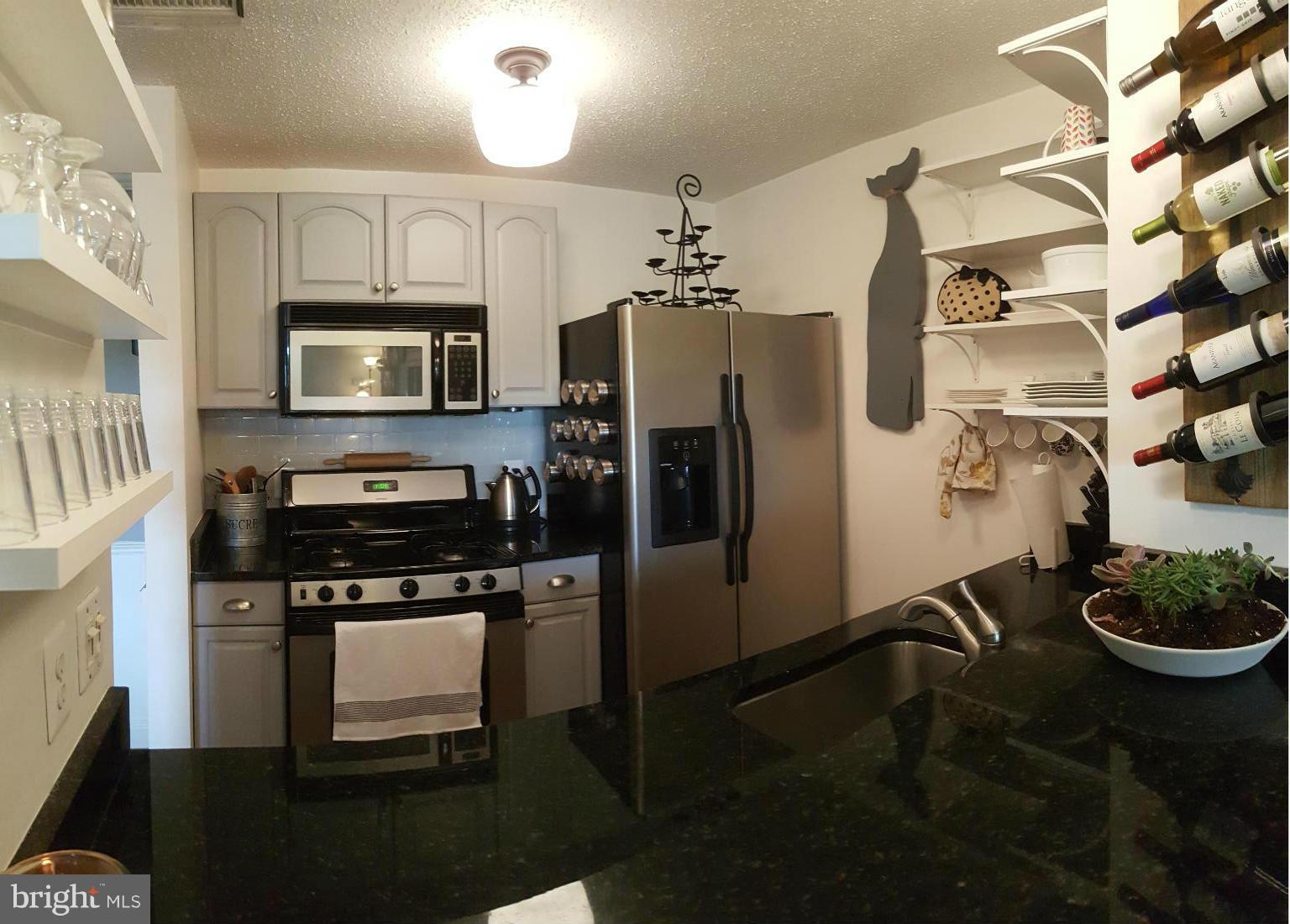 21009 Timber Ridge Terrace, Unit 302 Ashburn, VA 20147 - Photo 7 of 20 Kitchen