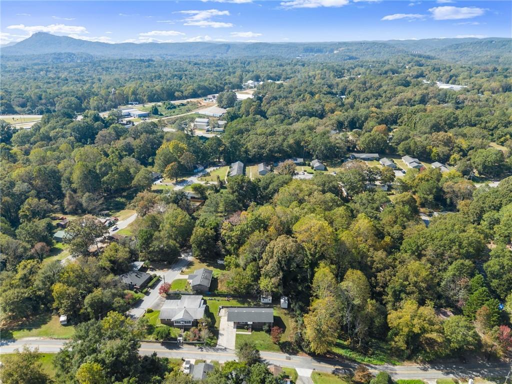 574 South Sage Street Toccoa, GA 30577 - Photo 39 of 44 an aerial view of a town with trees