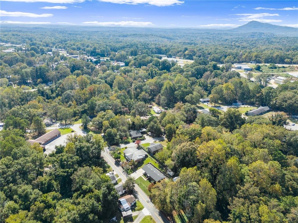 574 South Sage Street Toccoa, GA 30577 - Photo 41 of 44 an aerial view of multiple house