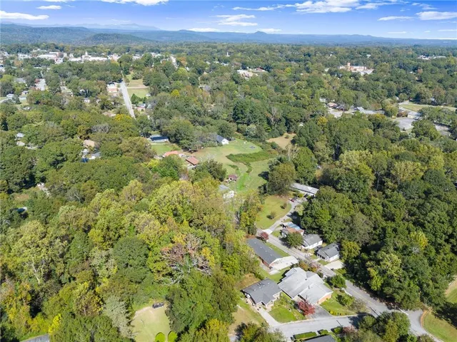 a view of a city with lush green forest