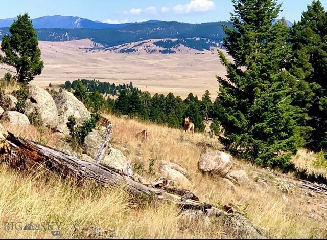 3414 Divide Creek Road Divide, MT 59727 - Photo 48 of 61 Gallery Image 48