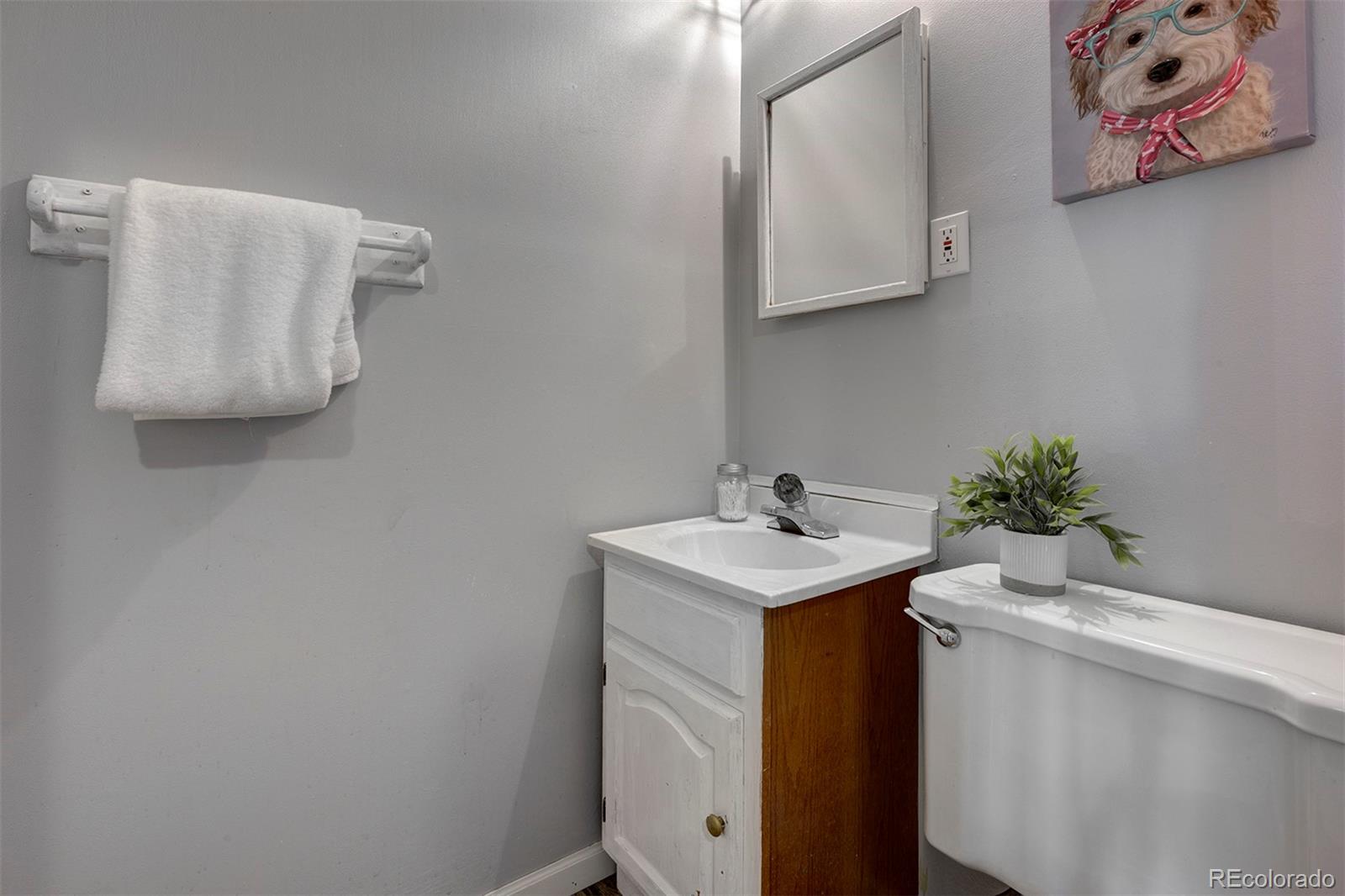 30282 Spruce Road Evergreen, CO 80439 - Photo 20 of 35