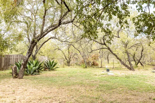 a view of yard with trees