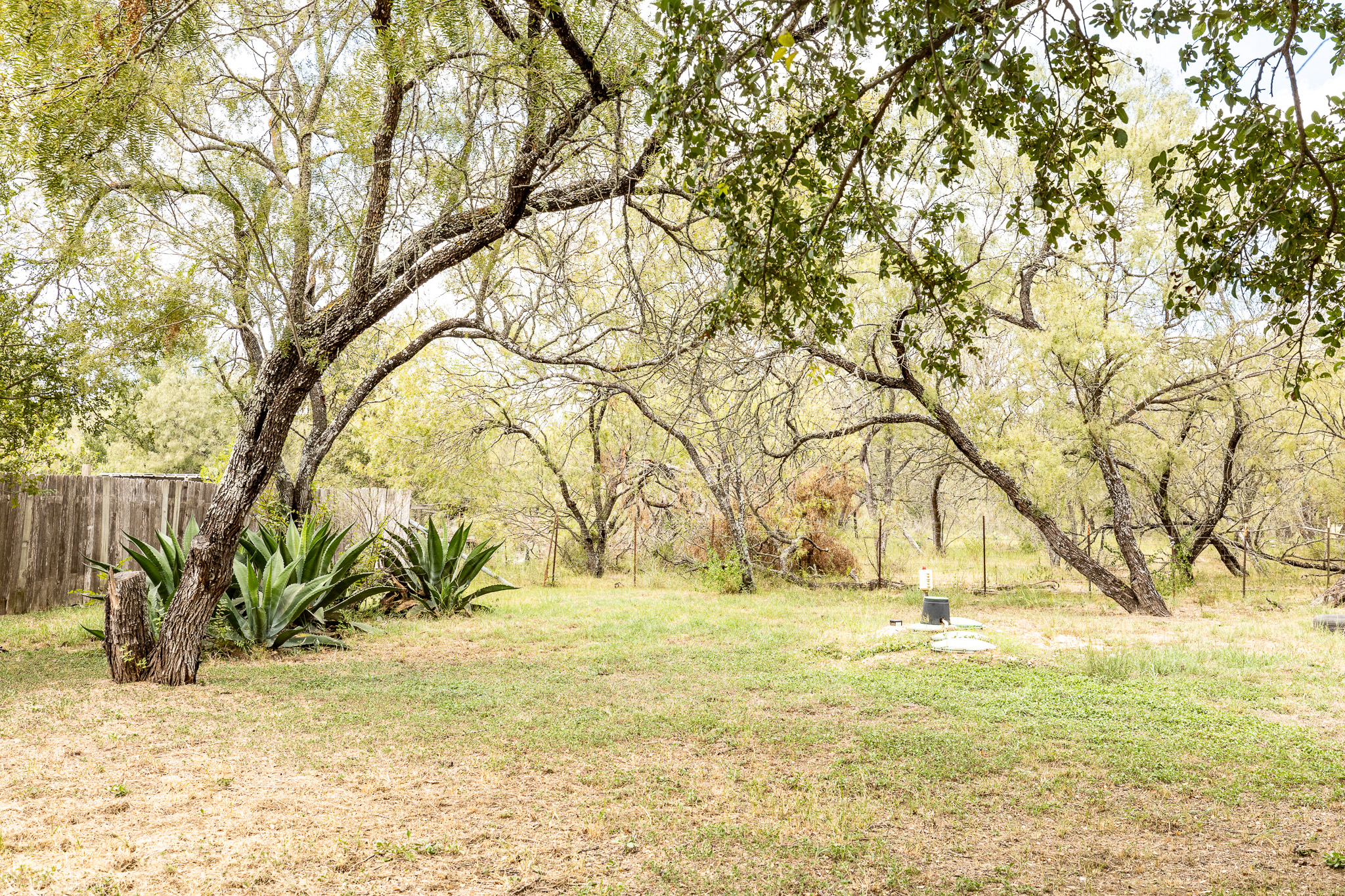 310 Union Hill Road Luling, TX 78648 - Photo 14 of 19 a view of yard with trees