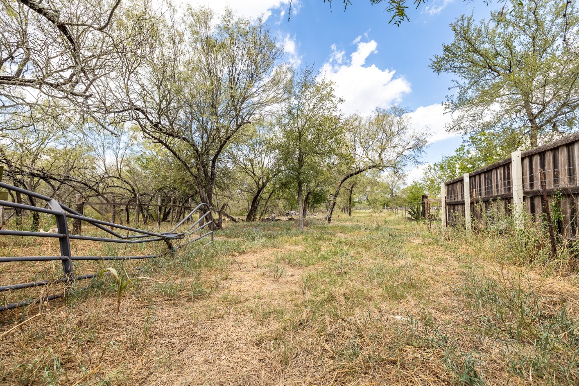 310 Union Hill Road Luling, TX 78648 - Photo 15 of 19 a backyard of a house with lots of green space
