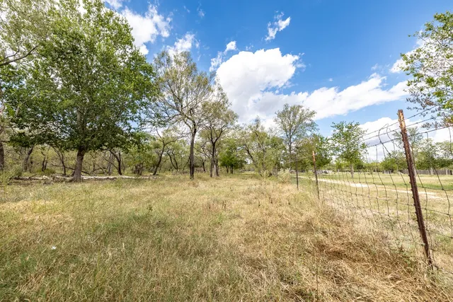 a view of a yard with trees in the background