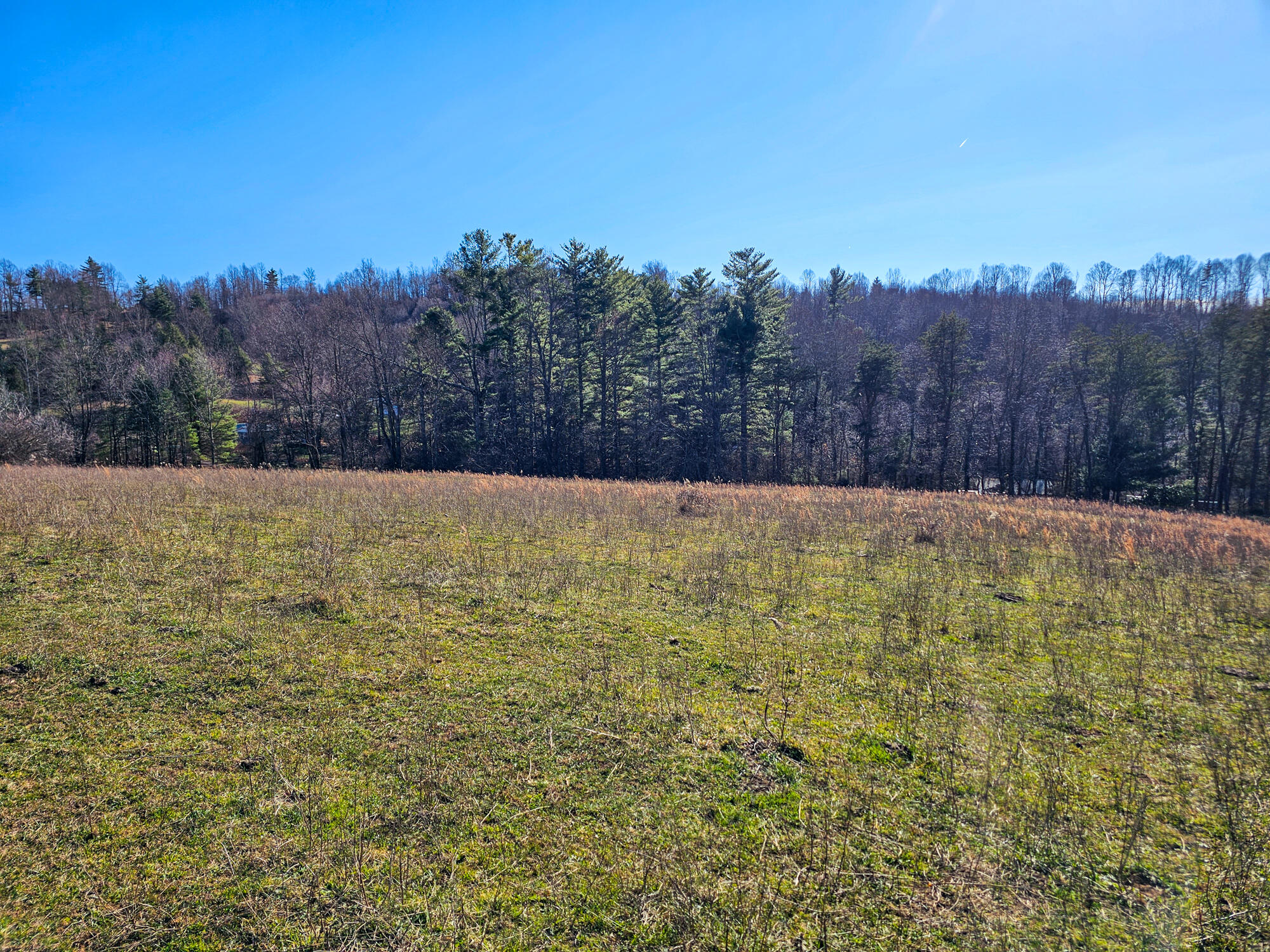 0 Dry Twig Road Laurel Fork, VA 24352 - Photo 11 of 17 20241208_133756
