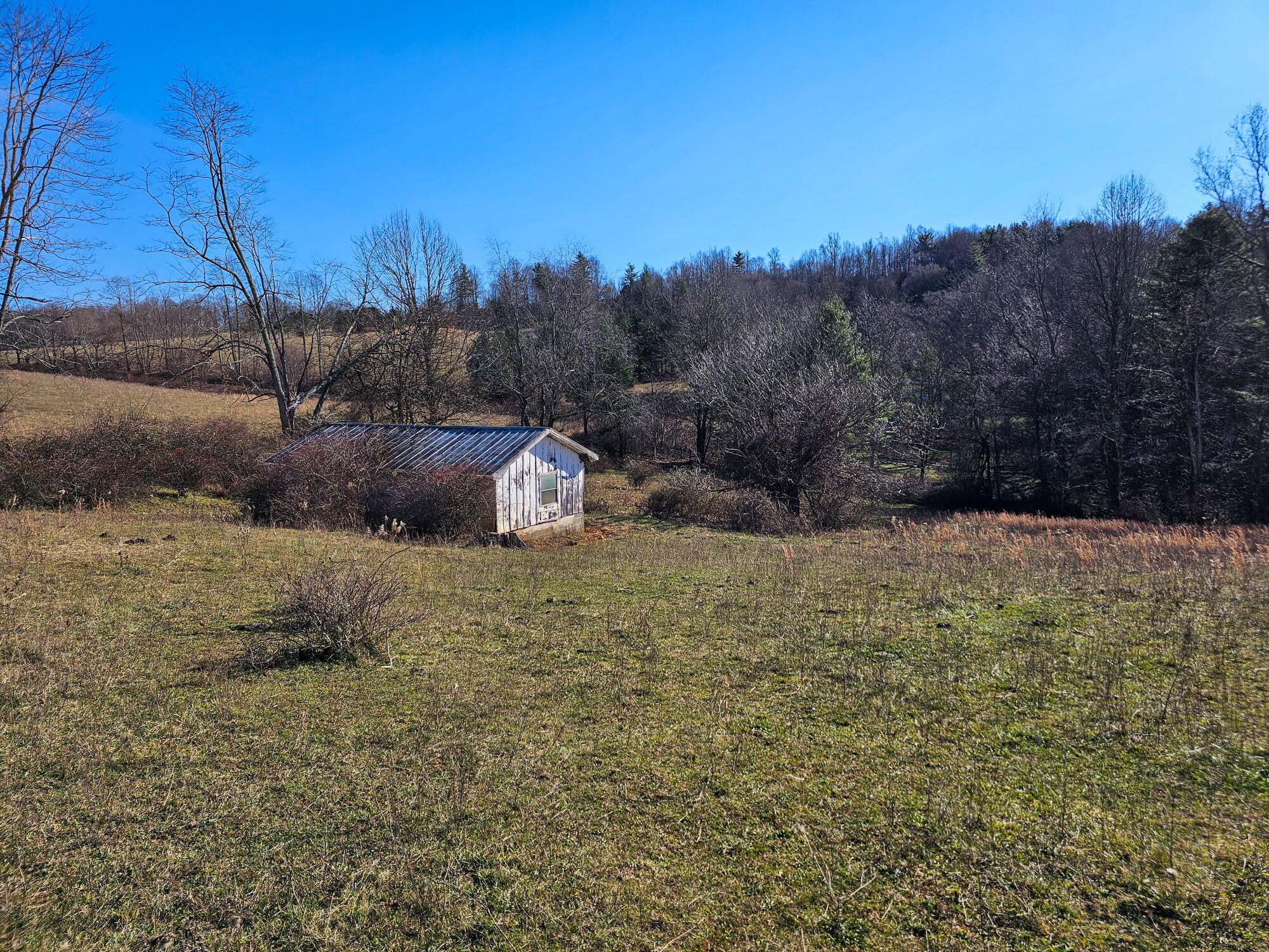 0 Dry Twig Road Laurel Fork, VA 24352 - Photo 12 of 17 20241208_133855