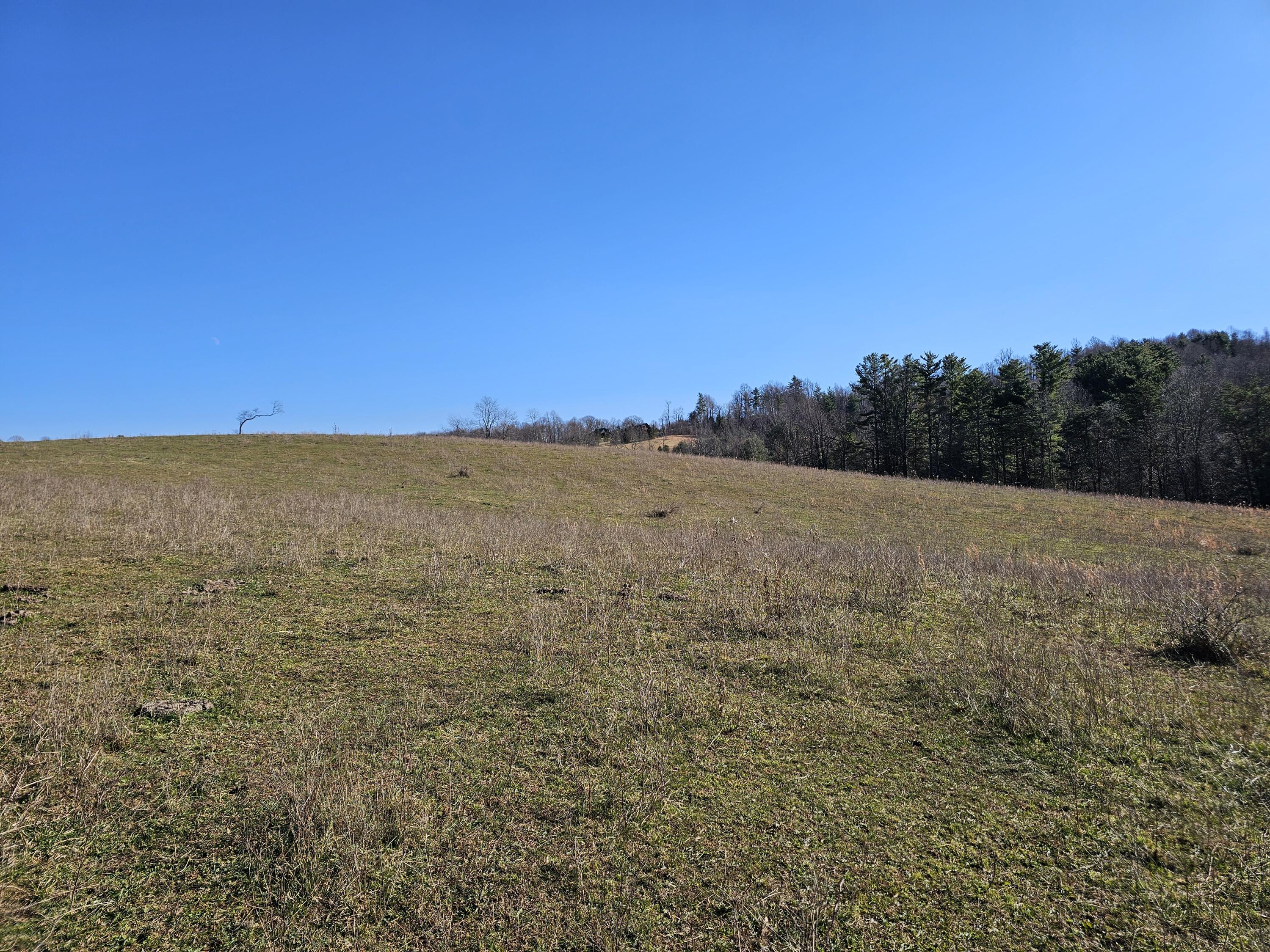0 Dry Twig Road Laurel Fork, VA 24352 - Photo 13 of 17 20241208_133622