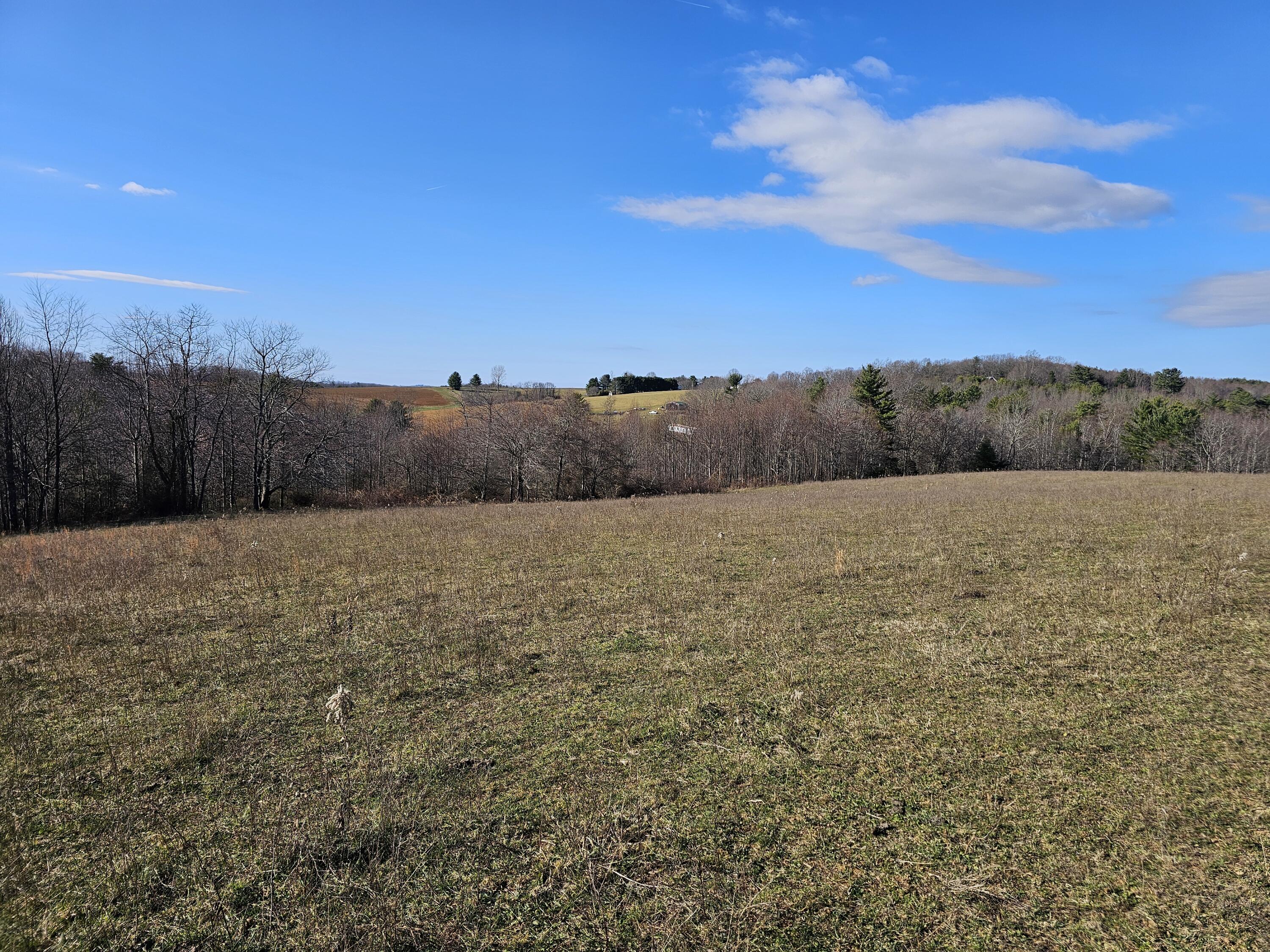0 Dry Twig Road Laurel Fork, VA 24352 - Photo 14 of 17 20241208_133626