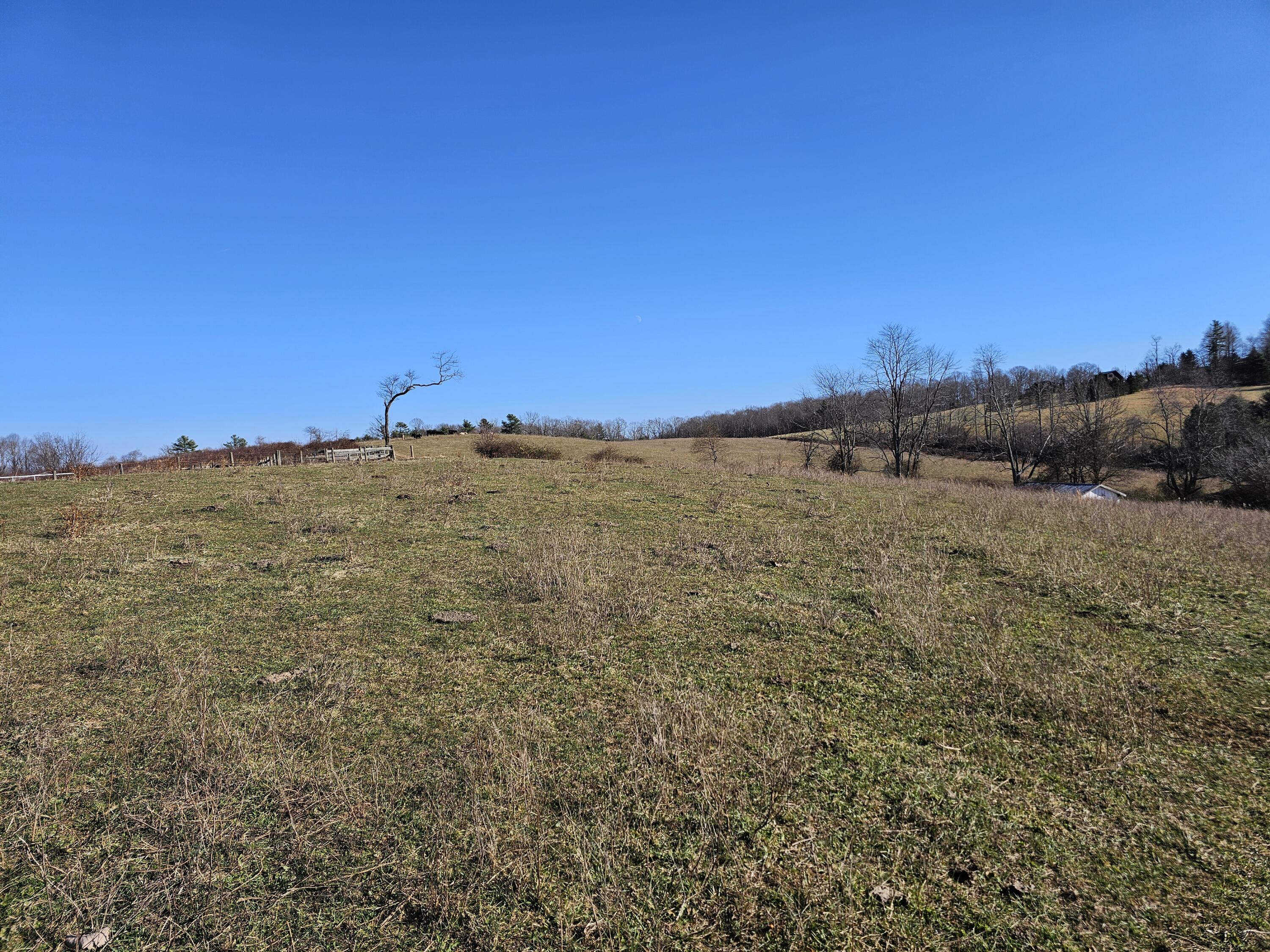 0 Dry Twig Road Laurel Fork, VA 24352 - Photo 15 of 17 20241208_133758