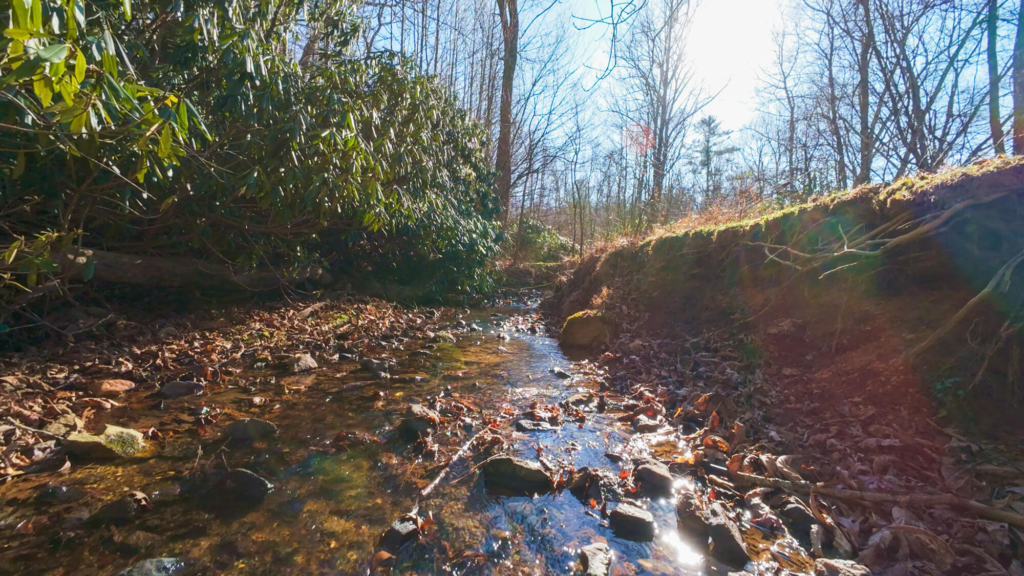0 Dry Twig Road Laurel Fork, VA 24352 - Photo 16 of 17 Laurel Fork 2