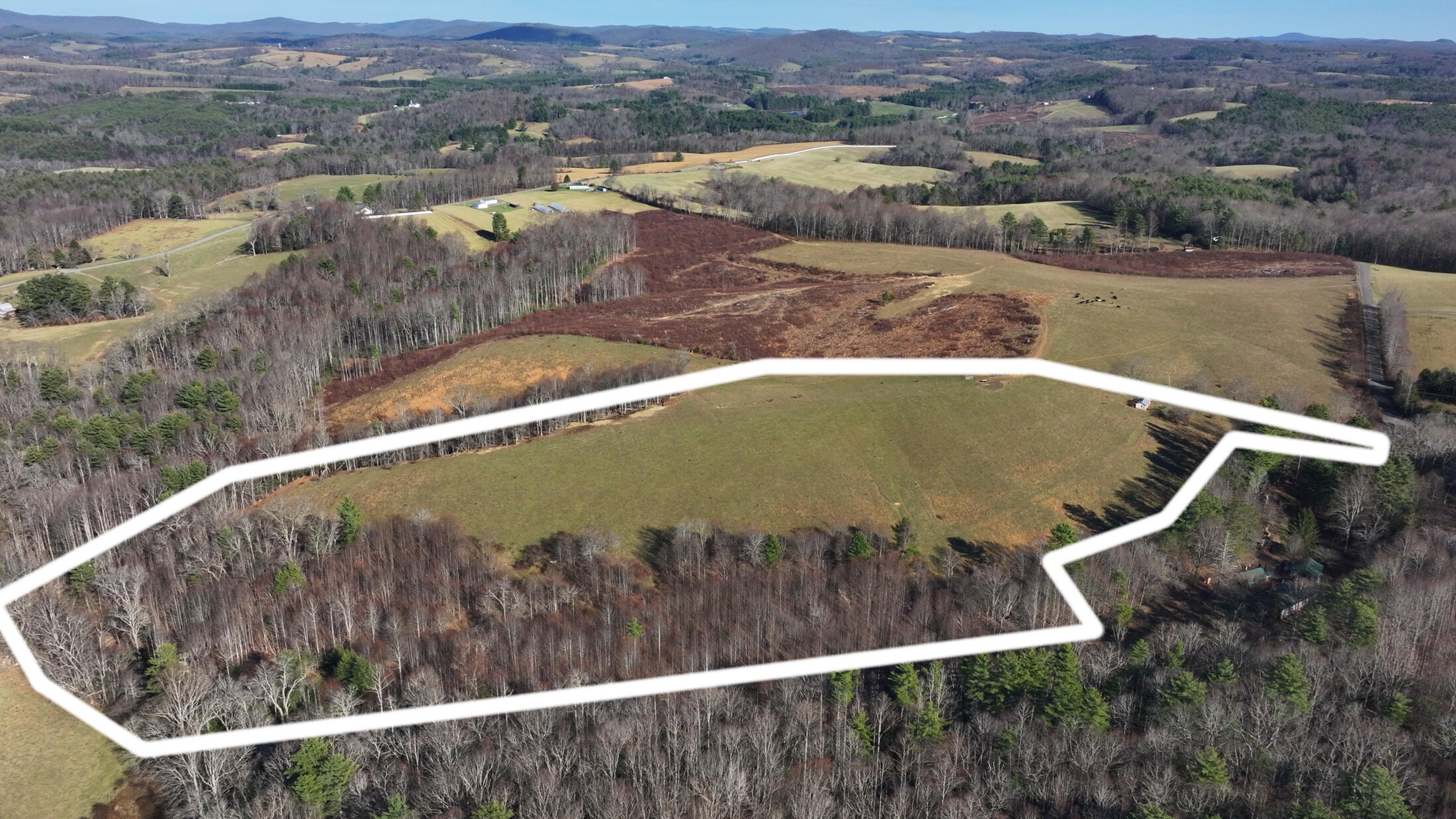 0 Dry Twig Road Laurel Fork, VA 24352 - Photo 2 of 17 Property lines-2