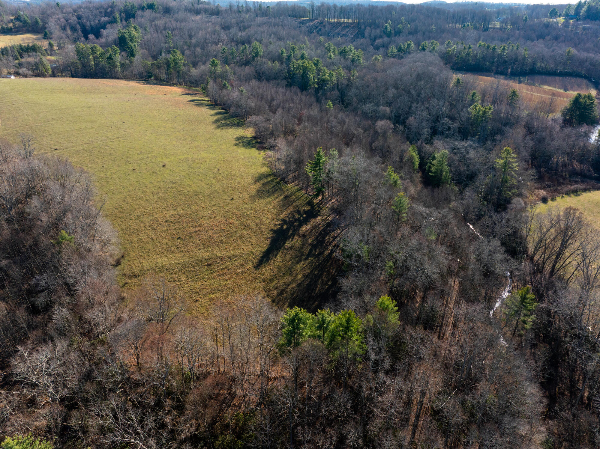 0 Dry Twig Road Laurel Fork, VA 24352 - Photo 3 of 17 DJI_20241208135009_0006_D