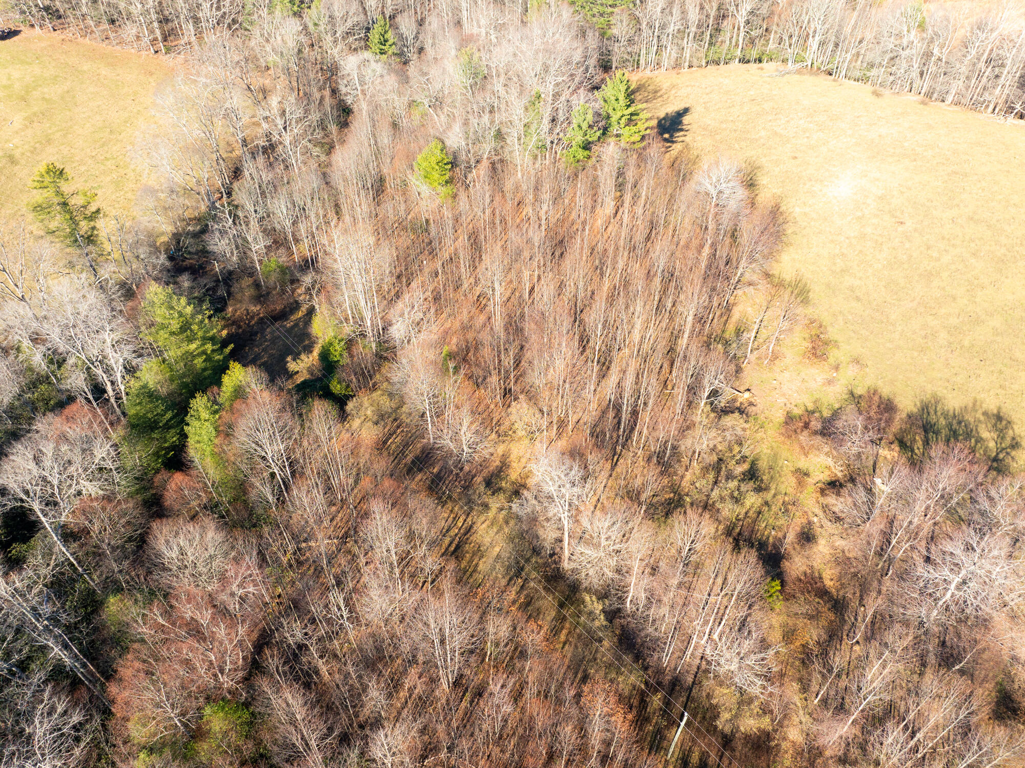 0 Dry Twig Road Laurel Fork, VA 24352 - Photo 6 of 17 DJI_20241208135110_0010_D