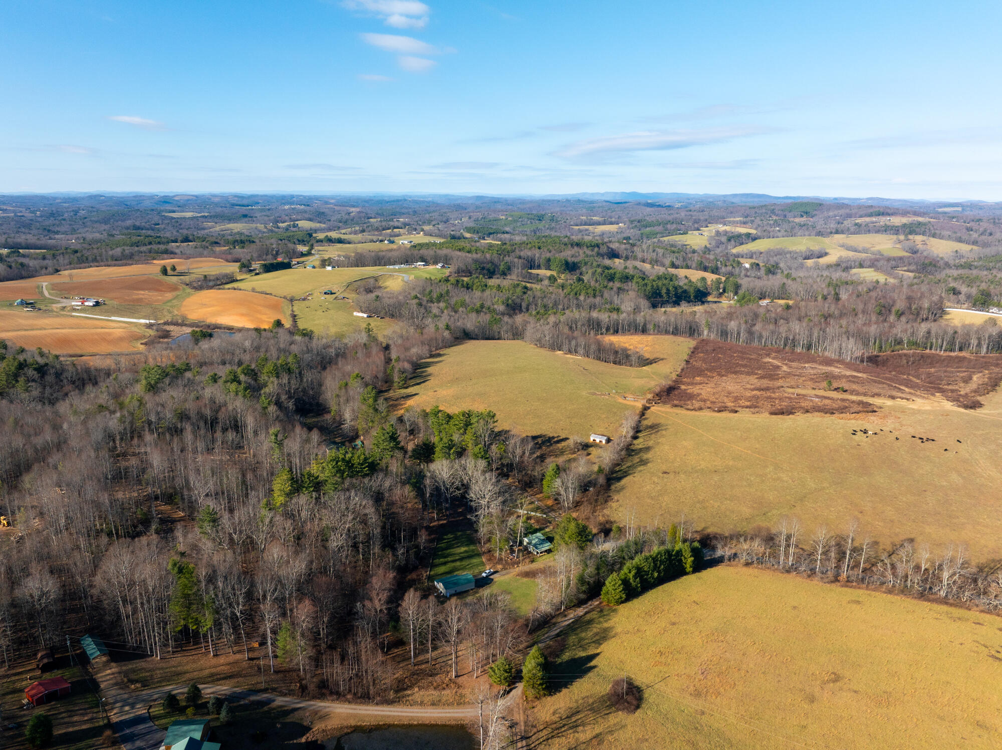 0 Dry Twig Road Laurel Fork, VA 24352 - Photo 8 of 17 DJI_20241208135738_0017_D