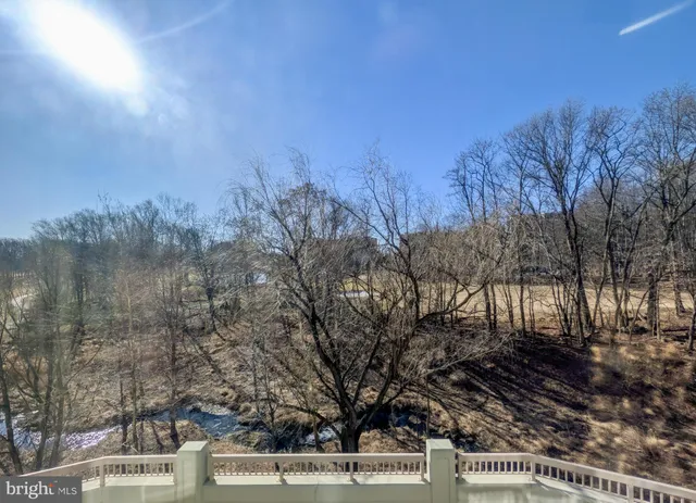a view of a yard with trees in the background