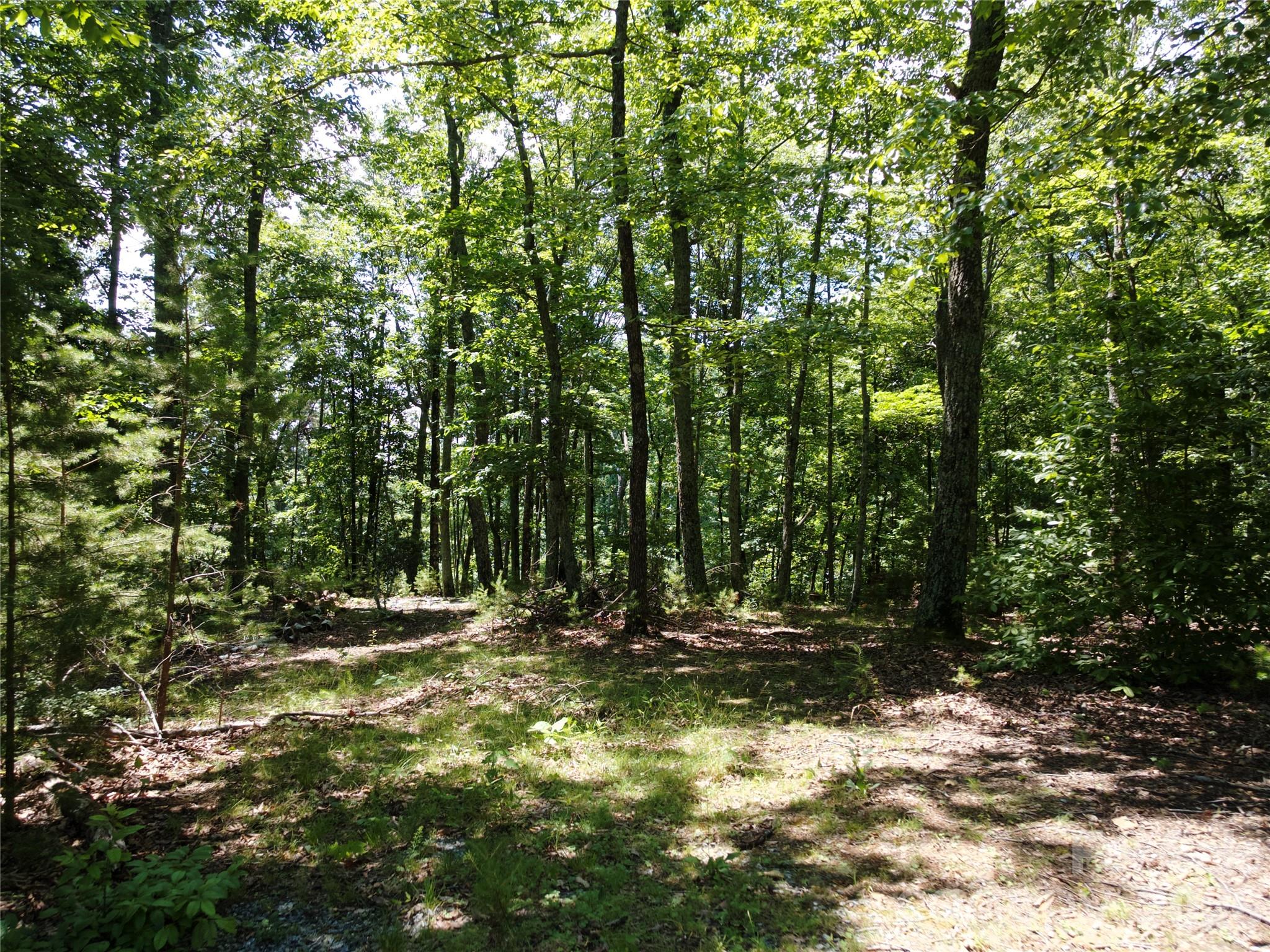 118 Upper Ridge Road Bostic, NC 28018 - Photo 13 of 13