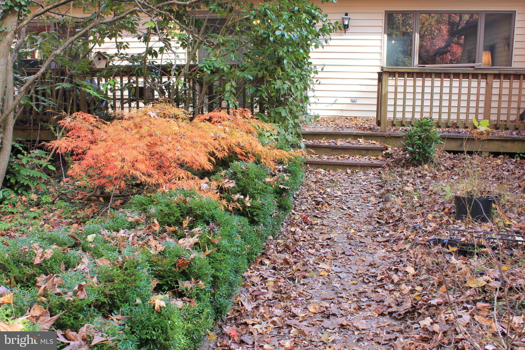 5510 Stephen Reid Road Huntingtown, MD 20639 - Photo 55 of 59 a backyard of a house with lots of green space